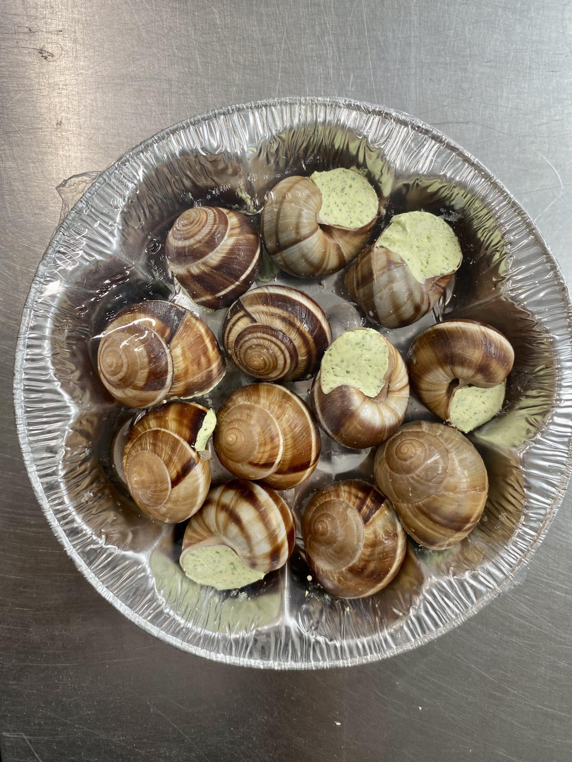 Escargots avec coquille en conserve Herp diner snails de Lucky reptile -  Reptilis