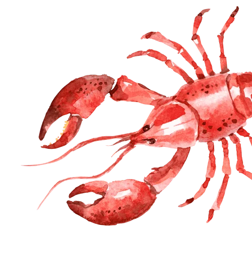 Découvrez les avantages du homard congelé : fraîcheur préservée, disponibilité à l’année et conseils de préparation. Idéal pour se régaler sans attend