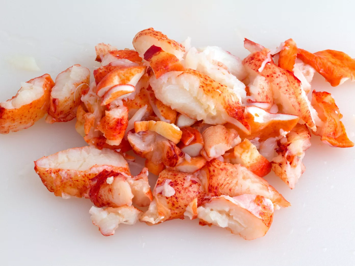 Chaire de Homard