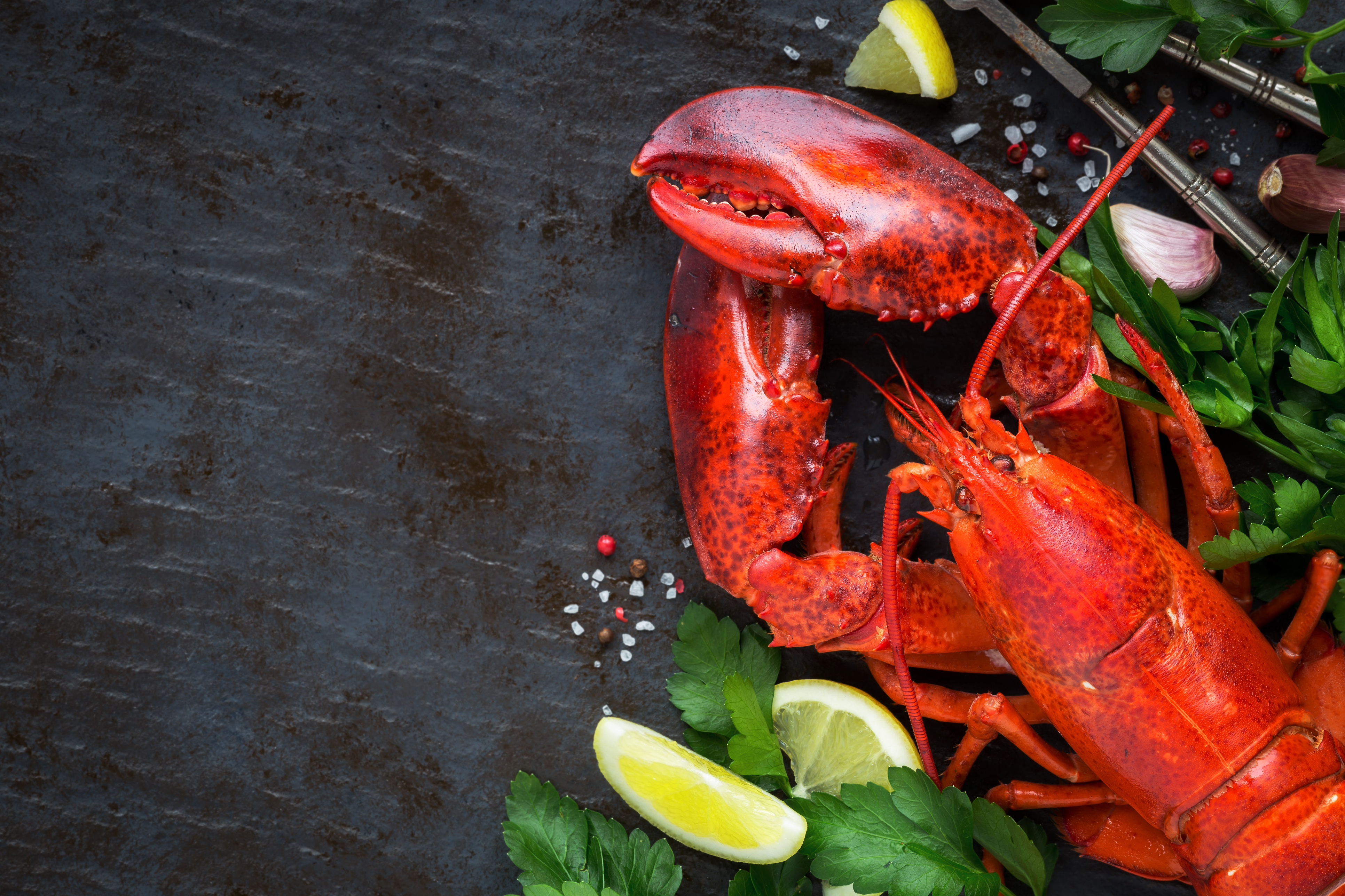 Homard Complet Précuit de la Gaspésie 20-24oz.