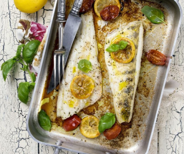Wild Canadian walleye fillets