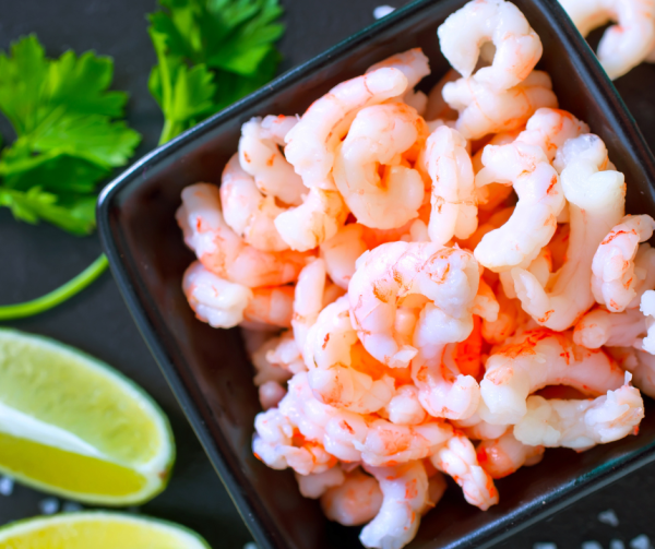 Large Gaspésie northern shrimp