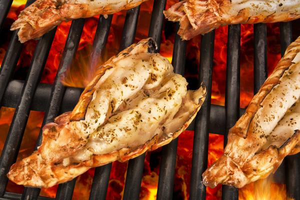 Langoustines 21/25 - De retour sous peu -